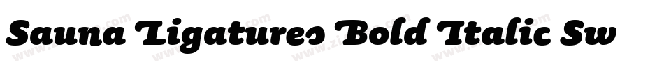 Sauna Ligatures Bold Italic Swash字体转换